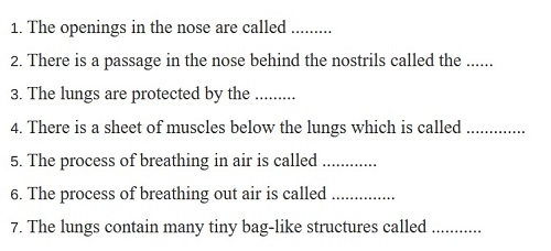 Class 5 Breathe in Breathe out Question Answer