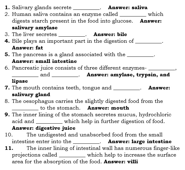 Human Digestive System Fill in the blanks